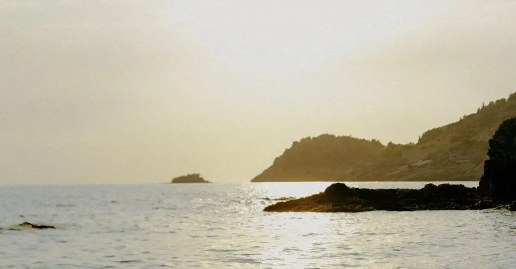 Kerala honeymoon package