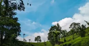 Kerala tour packages