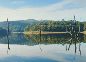 Kerala honeymoon package