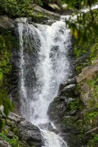 Waterfalls tour Kerala